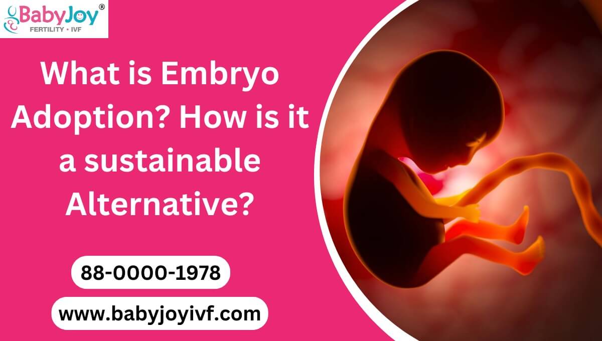It is vital to be well informed regarding the Embryo Adoption Process as well as having a clearance about how it is a sustainable alternative
