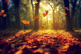 CLIP ART:_JXNQCA6IAE= AUTUMN